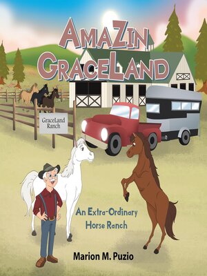 cover image of AmaZin Graceland
